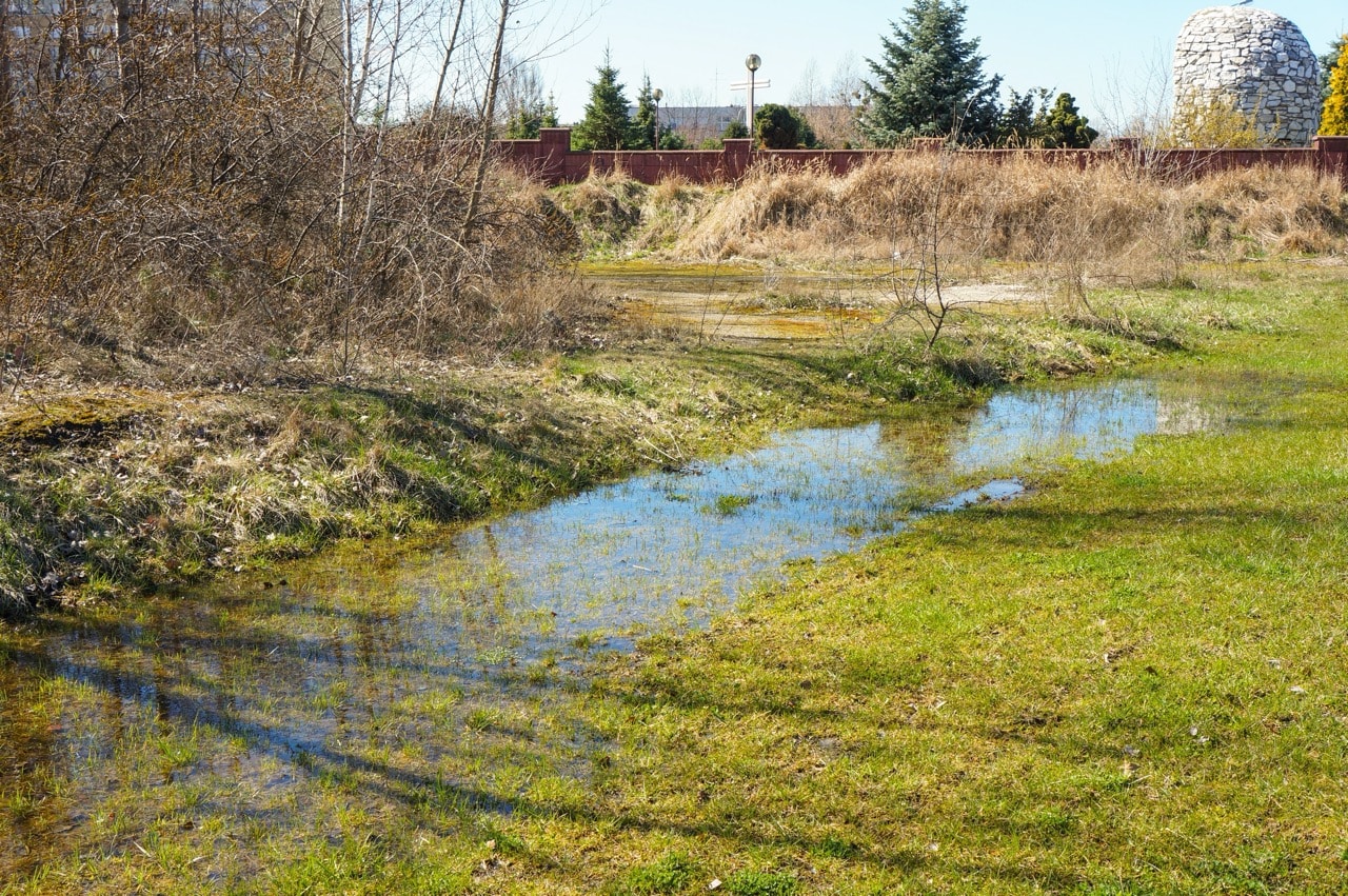 Standing water pooling in a grassy Eagle yard after irrigation and rain